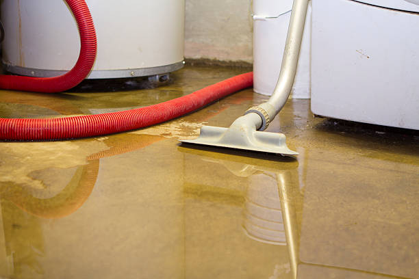 Best Residential water damage restoration  in Port Clinton, OH