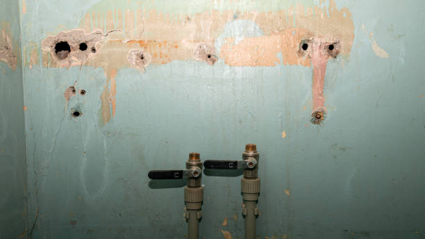 Best Professional water damage repair  in Port Clinton, OH