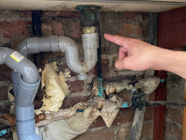 Best Water damage restoration insurance claims  in Port Clinton, OH