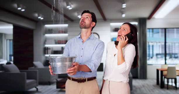 Best Carpet water damage restoration  in Port Clinton, OH
