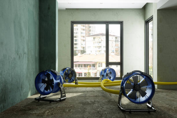 Best Water damage restoration process  in Port Clinton, OH